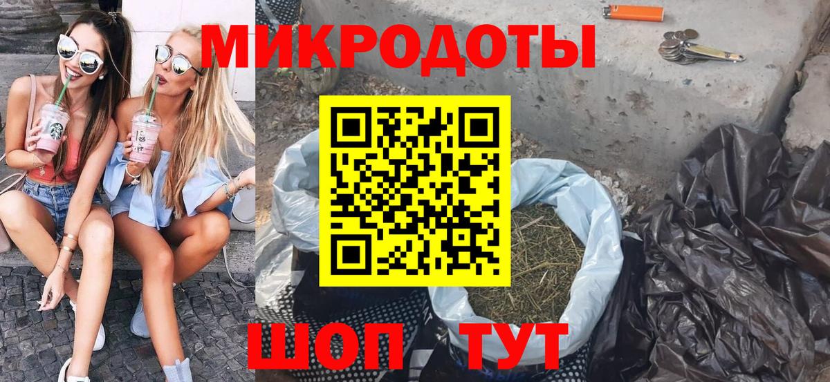 Галлюциногенные грибы Psilocybine cubensis Добрянка